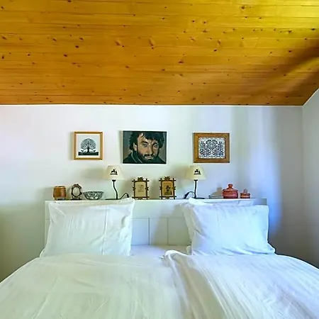 Soulful Escape With Fireplace And Mountain Views Hotel